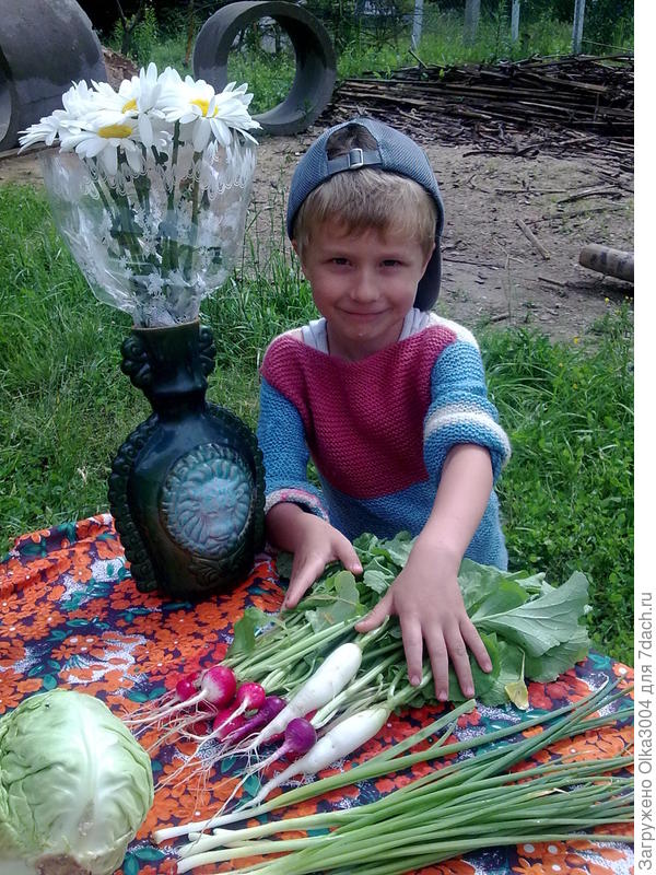 плоды трудов моего сынульки