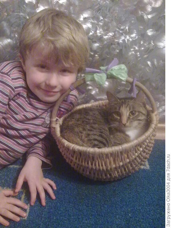 спряталась