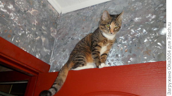 любила кататься на дверях