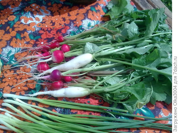 это мой сынуля сам выращивал!