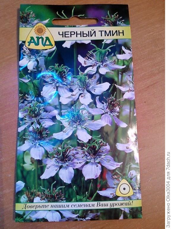 черный тмин