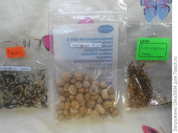 через инет свои семена