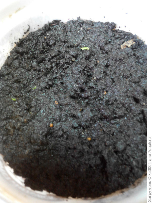 ерунда и с боку бантик