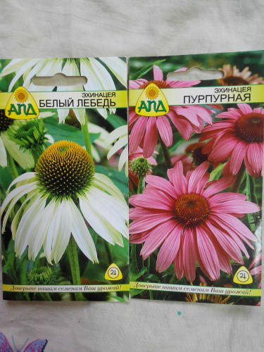 красота и здоровье