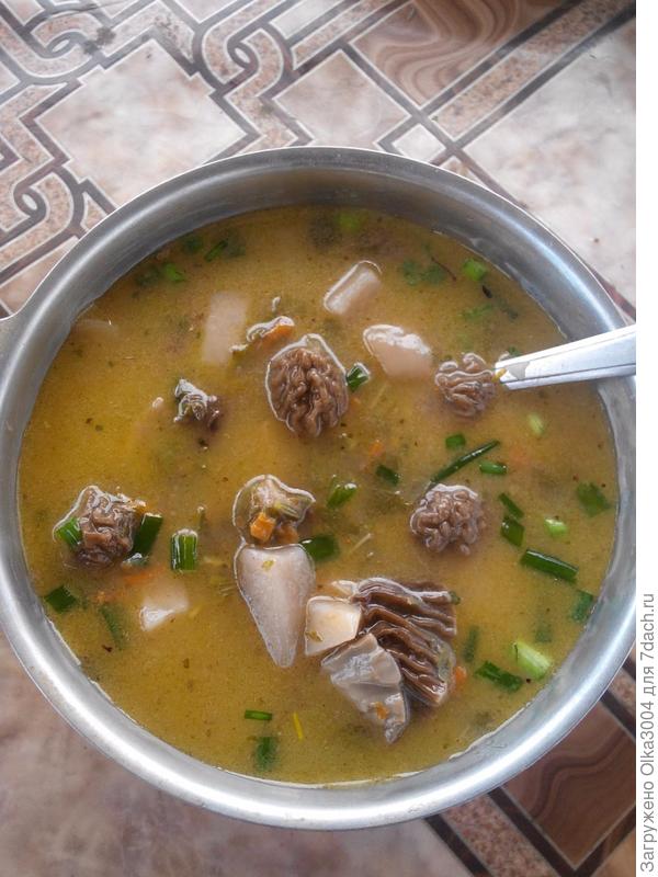 супчик из всего первого весеннего ))