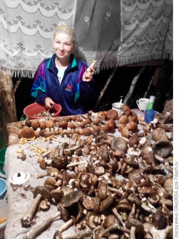 фото делала кума, когда пришла и увидела сколько грибов, то сказала, что с нами не дружит больше, так как мы ее не взяли с собой тогда ))) возле стола еще муж перебирает лисички, их было тогда около 15 литров