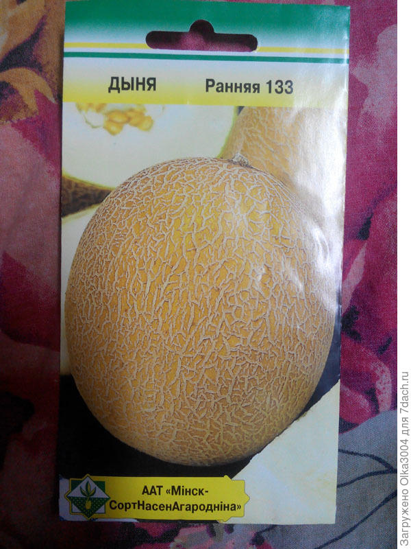 дынька