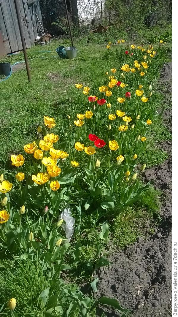 Это было в мае у мамы