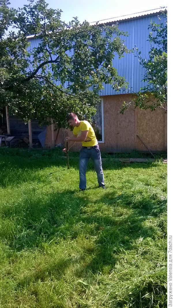 покос газона, друг сына решил размяться с утра