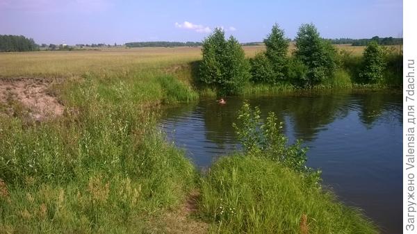 Это речка моего детства июнь