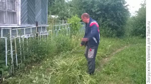 первый укос. уже лето