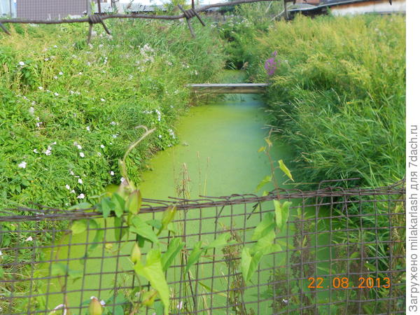 С тех пор ничего не изменилось