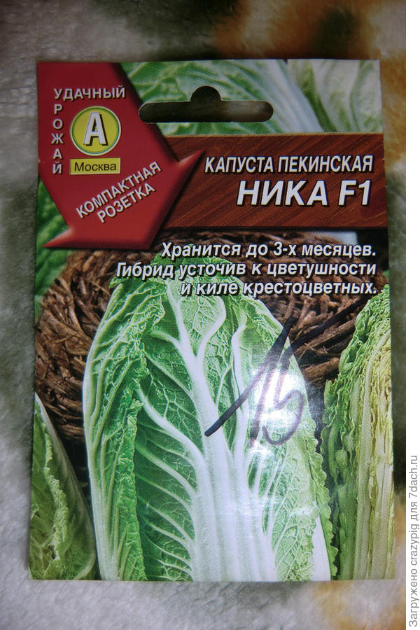 семена