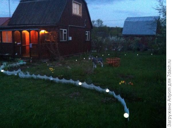 Вечерний сад