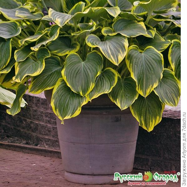 Фотография на сегодняшний день.