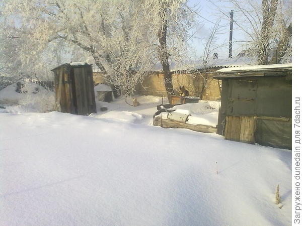 мои собаки - Крошка и Сонька