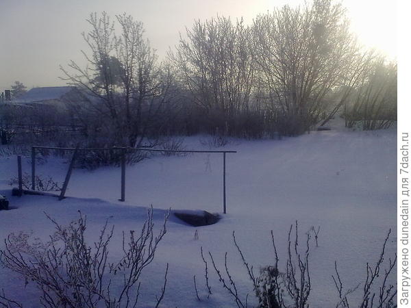 парник перед домом