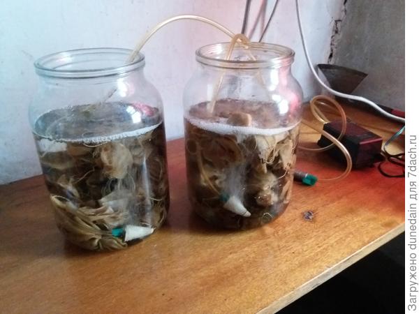 Барботирование