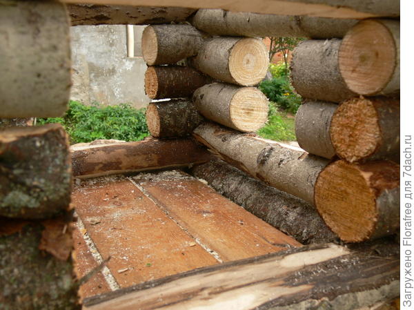 избушка домик для кошки