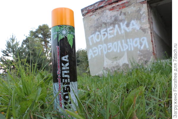 баллон аэрозольной побелки
