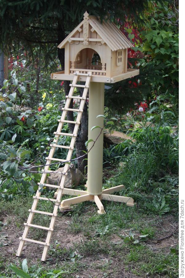 кормушка для кошек птицами