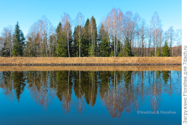 отражение неба