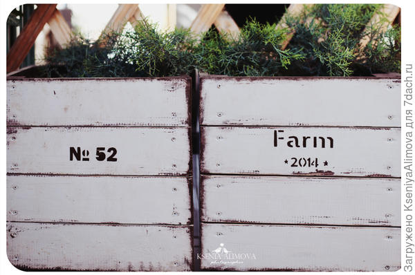 кашпо для цветов