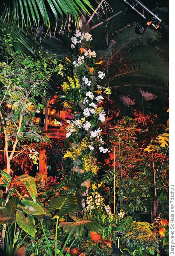 инсталяции