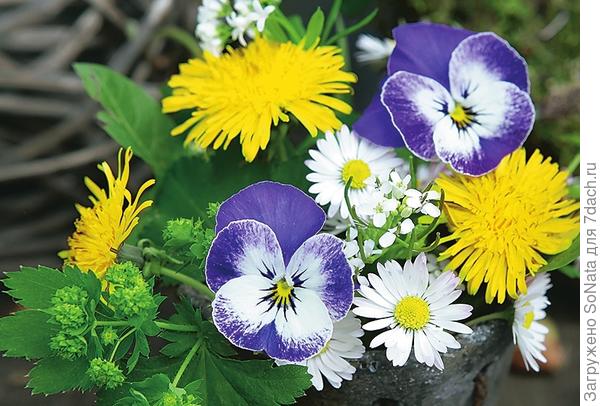 сине-желтый наряд