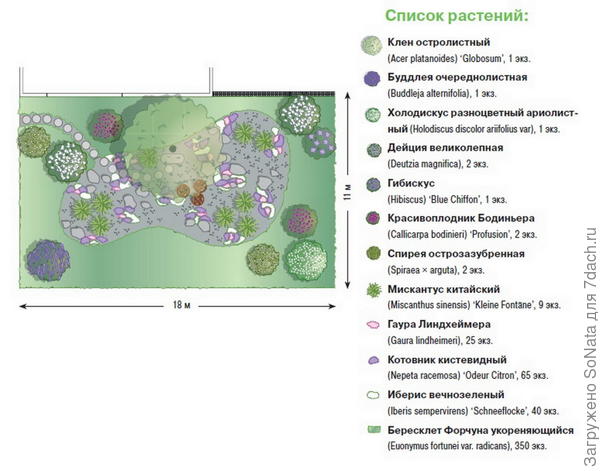 Дерен элегантиссима живая изгородь схема посадки