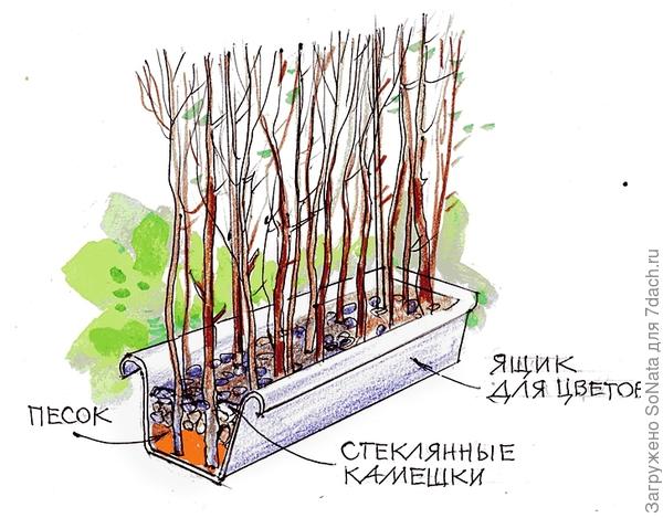 Садовая ширма в ящике