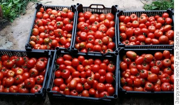 Неделя холода и дождей.