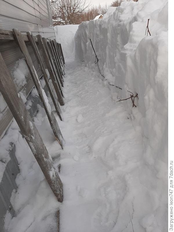 И это ещё ровно 2 месяца до полного схода снега.