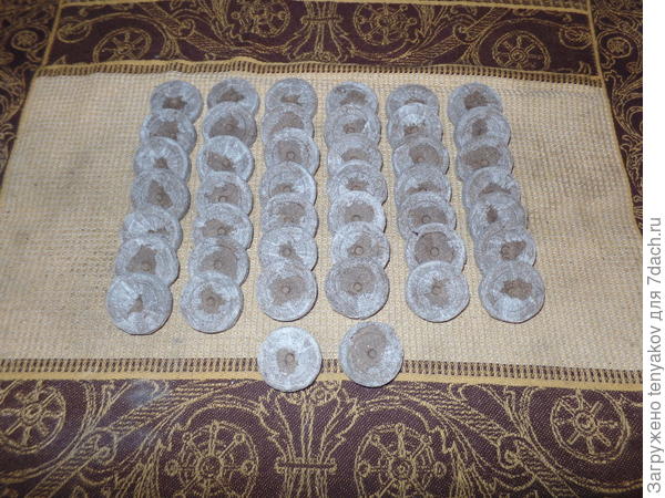 торфяные таблетки