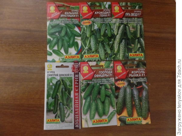 Содержимое посылки, 6 видов огурцов.