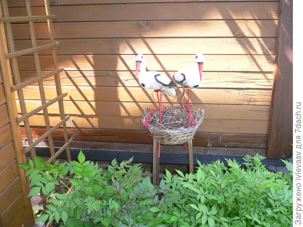 А нам аисты внука принесли!