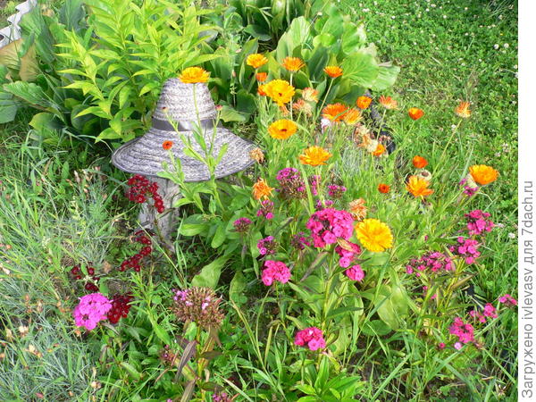 Без прополки