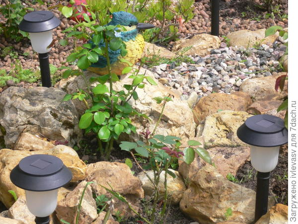 Фонари и камни