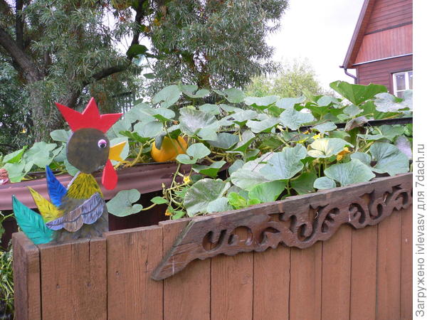 Компостная яма