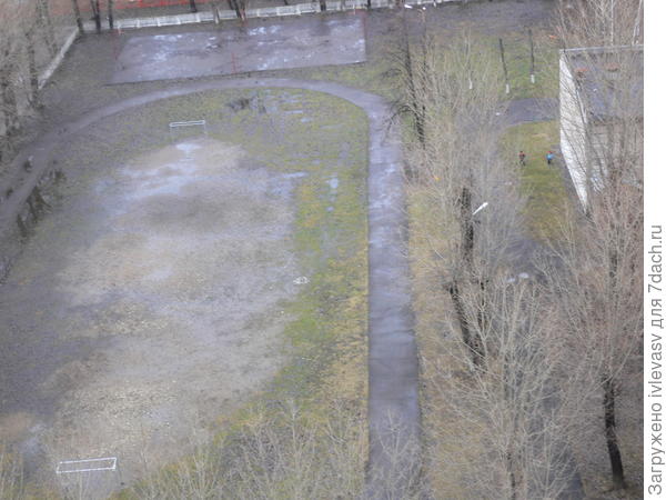 Лужи 22 декабря