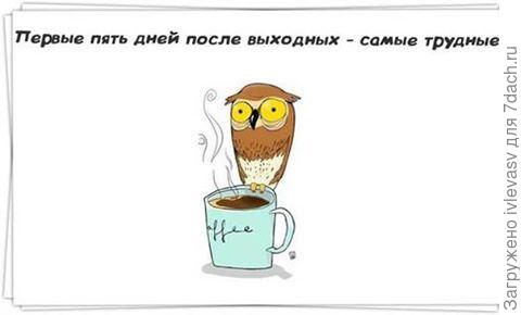 Dopisnice