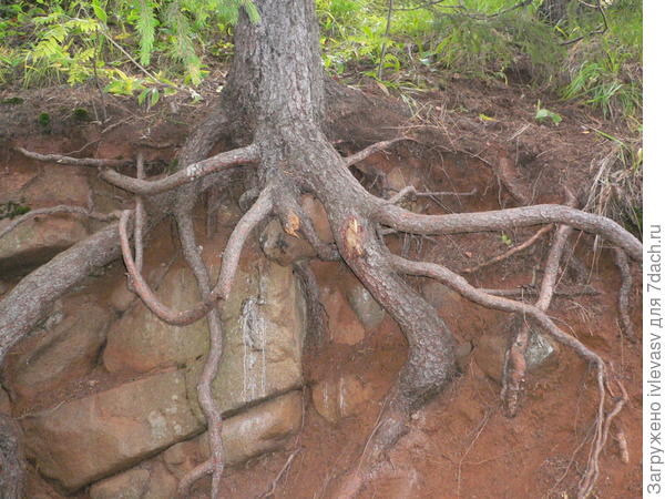 На Валааме.