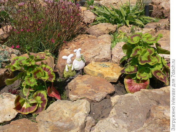 Цветы и камни