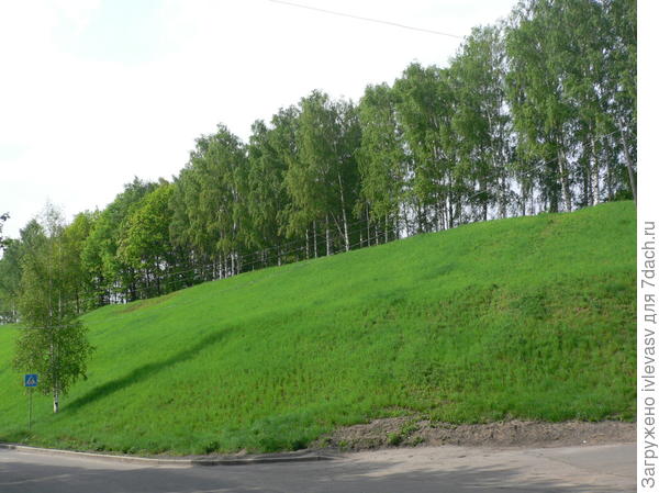 Плес