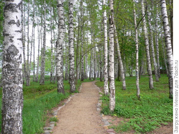 Плес