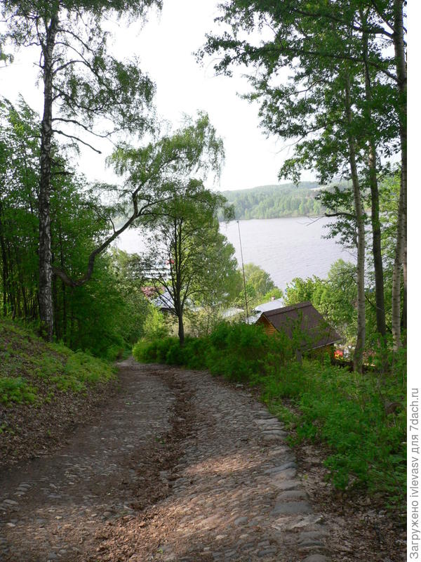 Плес