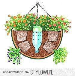 http://stylowi.pl/images/items/o/201403/stylowi_pl_diy-zrob-to-sam_co-zrobic-z-roslinami-podczas-wyjazdu--sloneczny-b_20174558.jpg