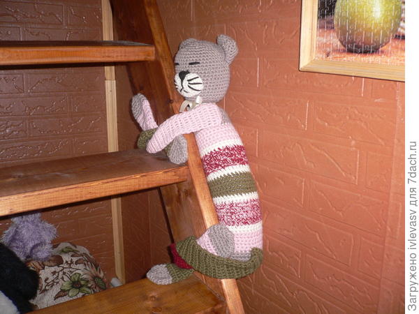 Спящий кот.