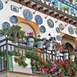 Использование тарелокhttp://cs6048.vk.me/v6048439/14ace/Ly7_-rq5FRs.jpg