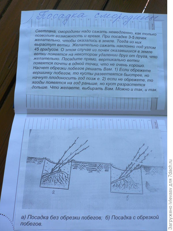 Блокнот
